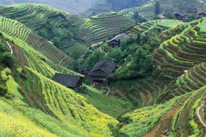 Circuit organisé en groupe - Chine - Chine intimiste