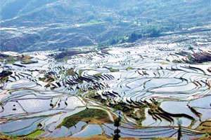 Circuit organisé en groupe - Chine - Yunnan éternel
