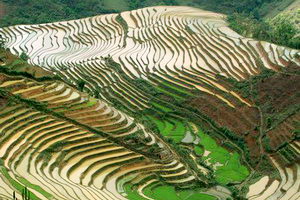 Circuit organisé en groupe - Chine - Yunnan éternel