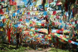 Circuit organisé en groupe - Chine - Yunnan éternel