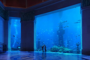 Séjour balnéaire - Emirats Arabes Unis -Dubaï - Atlantis, The Palm 5*