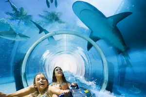 Séjour balnéaire - Emirats Arabes Unis -Dubaï - Atlantis, The Palm 5*