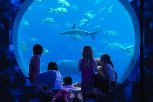 Séjour balnéaire - Emirats Arabes Unis -Dubaï - Atlantis, The Palm 5*