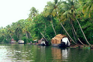 Circuit individuel - Inde - Un Sud épicé