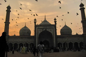 Circuit organisé en groupe - Inde - Saris et Saddhus + Pushkar