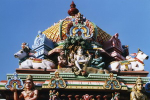 Circuit individuel - Inde - Un Sud épicé