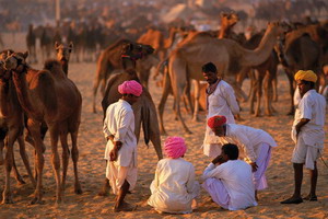 Circuit organisé en groupe - Inde - Saris et Saddhus + Pushkar