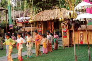 Circuit individuel - Indonésie -Bali - Umabian expérience