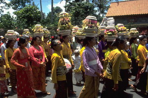 Circuit organisé en groupe - Indonésie -Bali - La Palette indonésienne