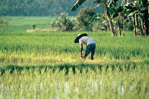 Circuit organisé en groupe -  Promotions - Singapour -Indonésie -Bali - Archipel intimiste