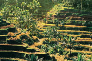 Circuit organisé en groupe -  Promotions - Singapour -Indonésie -Bali - Archipel intimiste