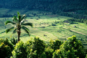 Circuit organisé en groupe -  Promotions - Singapour -Indonésie -Bali - Archipel intimiste