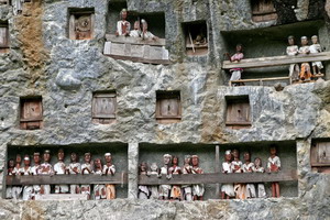 Circuit organisé en groupe - Indonésie -Bali - Bali essentiel + extension Célèbes