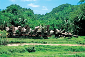 Circuit organisé en groupe - Indonésie -Bali - Bali essentiel + extension Célèbes