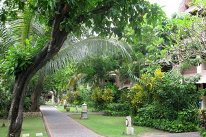 Circuit organisé en groupe - Indonésie -Bali - Bali essentiel + séjour Sanur 4*