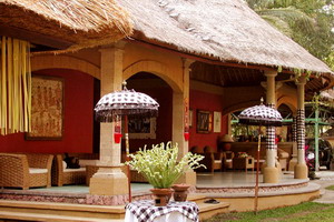 Circuit individuel - Indonésie -Bali - Umabian expérience