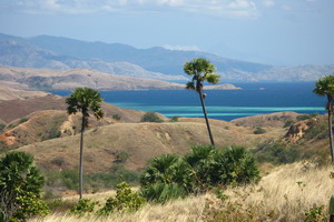 Croisières - Indonésie -Bali - Katharina, les perles de la Sonde