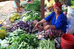 Croisières - Indonésie -Bali - Katharina, les perles de la Sonde