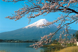 Circuit organisé en groupe - Japon - Samouraïs et jardins zen
