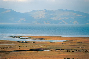 Circuit individuel - Kirghizstan - Des hommes et des chevaux