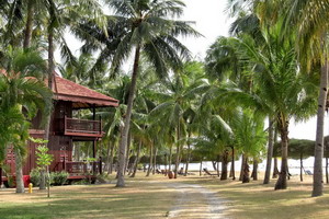 Promotions -  Séjour balnéaire - Malaisie - Meritus Pelangi Beach Resort 4*