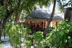 Promotions -  Séjour balnéaire - Maldives - Angsana Ihuru Resort and Spa 5*