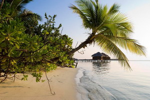 Promotions -  Séjour balnéaire - Maldives - Lux* Maldives 5*