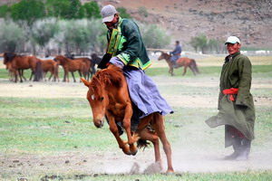 Circuit organisé en groupe - Mongolie - L'Empire des Steppes