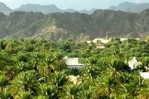 Circuit individuel - Sultanat d'Oman -Oman - Oman en liberté