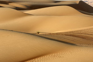 Circuit individuel - Sultanat d'Oman -Oman - Oman en liberté