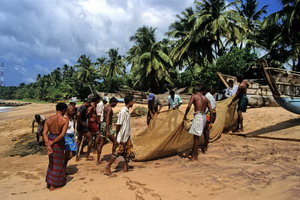 Circuit organisé en groupe -  Promotions - Sri Lanka - Ceylan Bonheur