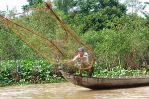 Circuit individuel - Vietnam - Les sampans du grand sud