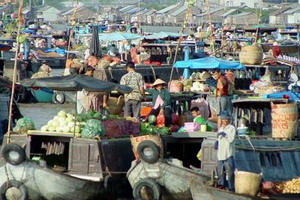 Circuit individuel - Vietnam - Vietnam buissonnier