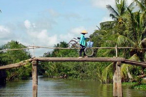 Circuit individuel - Vietnam - Vietnam buissonnier