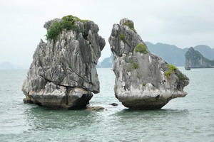 Croisières - Vietnam - Une jonque dans la baie