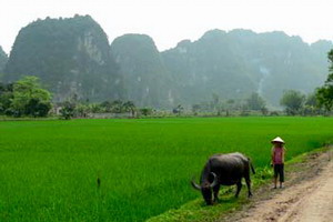 Circuit individuel - Vietnam - Vietnam buissonnier