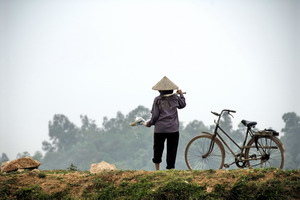 Circuit individuel - Vietnam - Rencontres tonkinoises