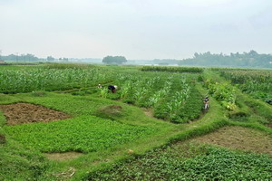 Circuit individuel - Vietnam - Rencontres tonkinoises
