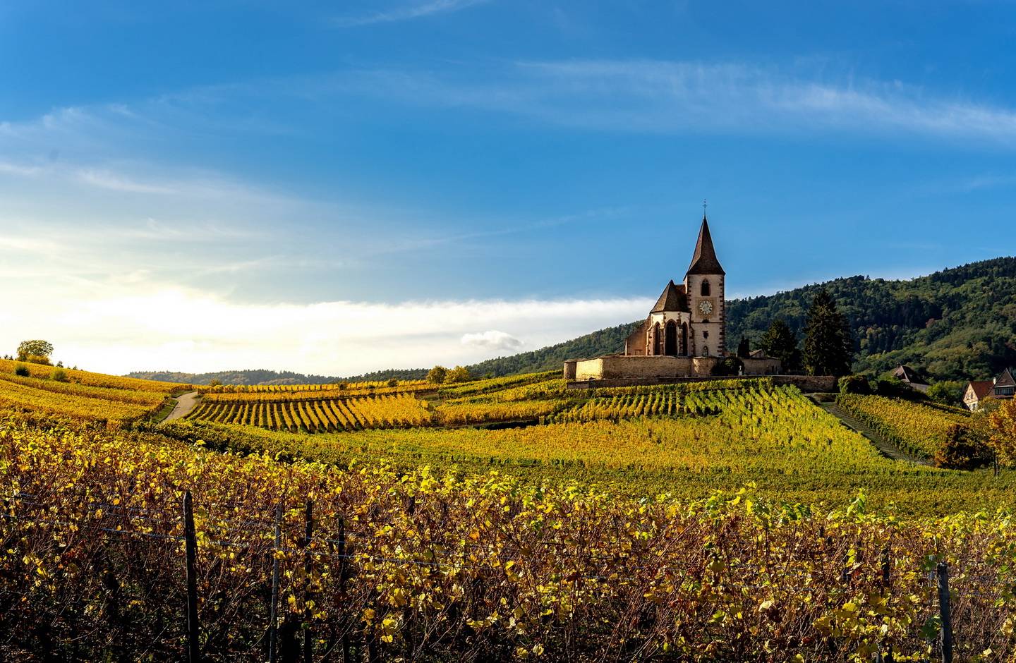 A la découverte des plus belles régions de France